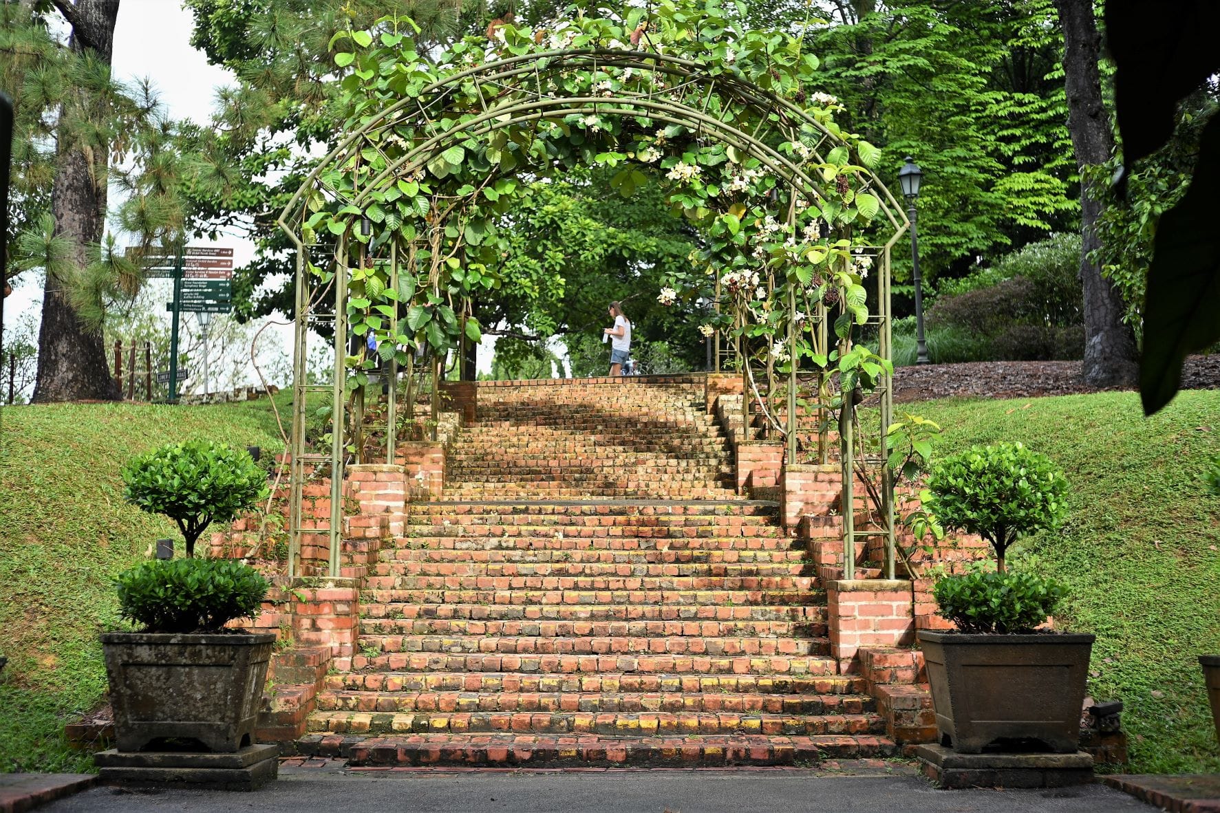 Prisoner-of-War stairs near the Plant House
